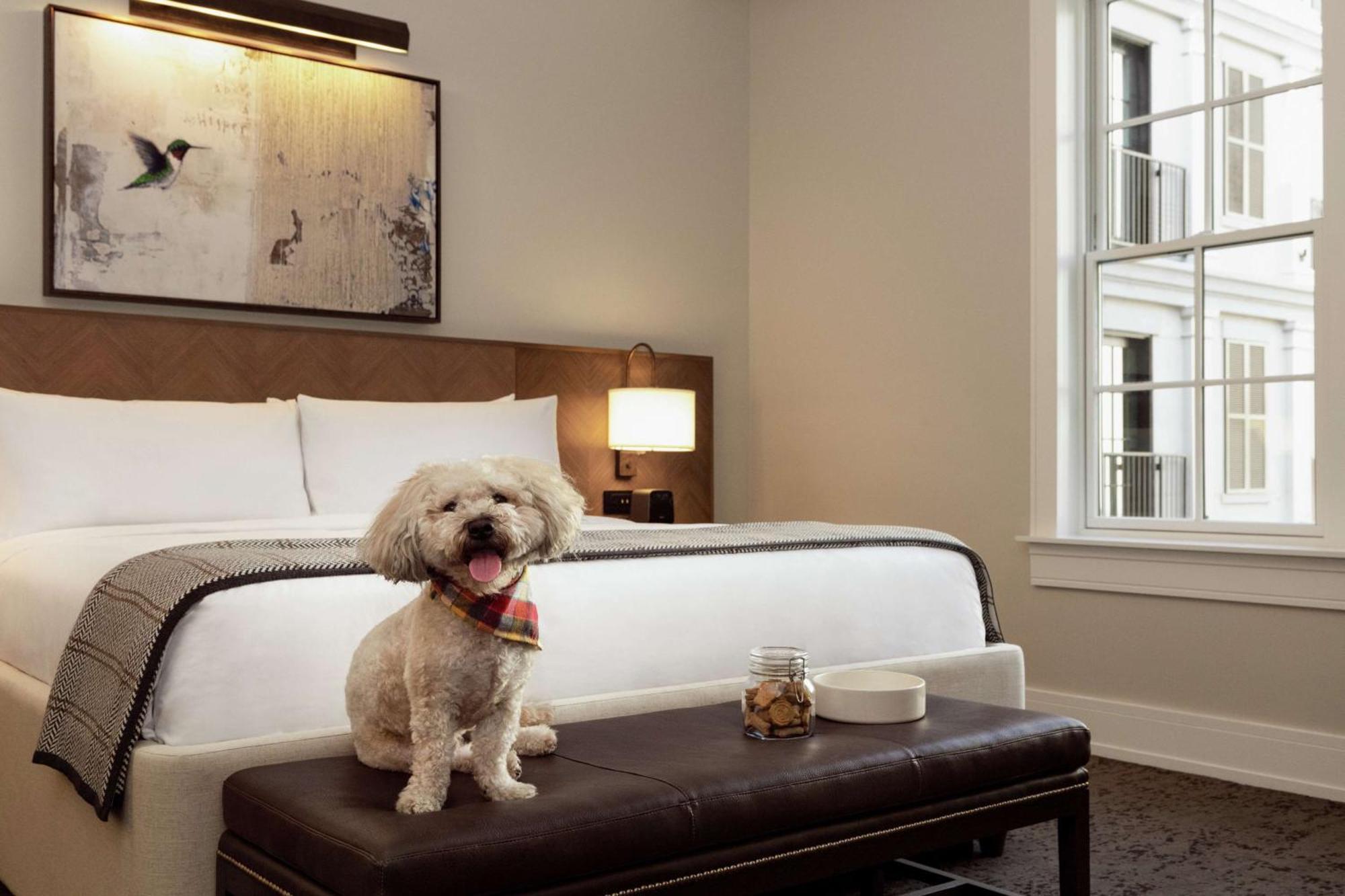 The Harpeth Franklin Downtown, Curio Collection By Hilton Hotel Buitenkant foto